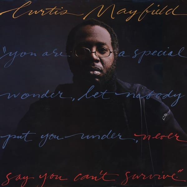 Never Say You Can't Survive cover
