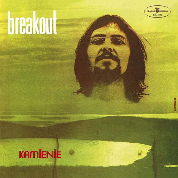 Kamienie cover