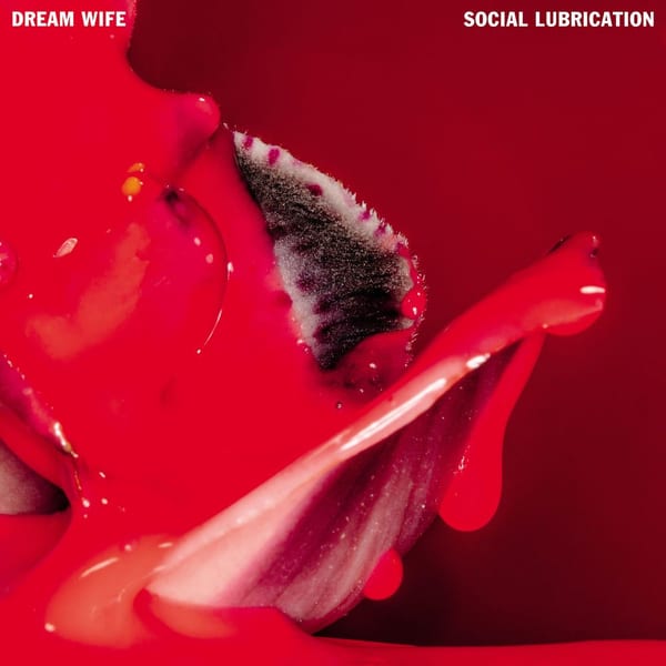 Social Lubrication cover