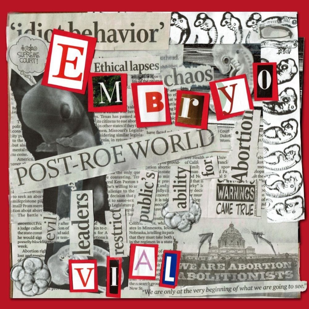 Embryo cover