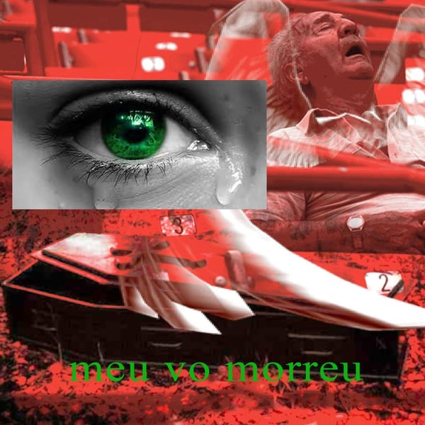 Meu vô morreu cover