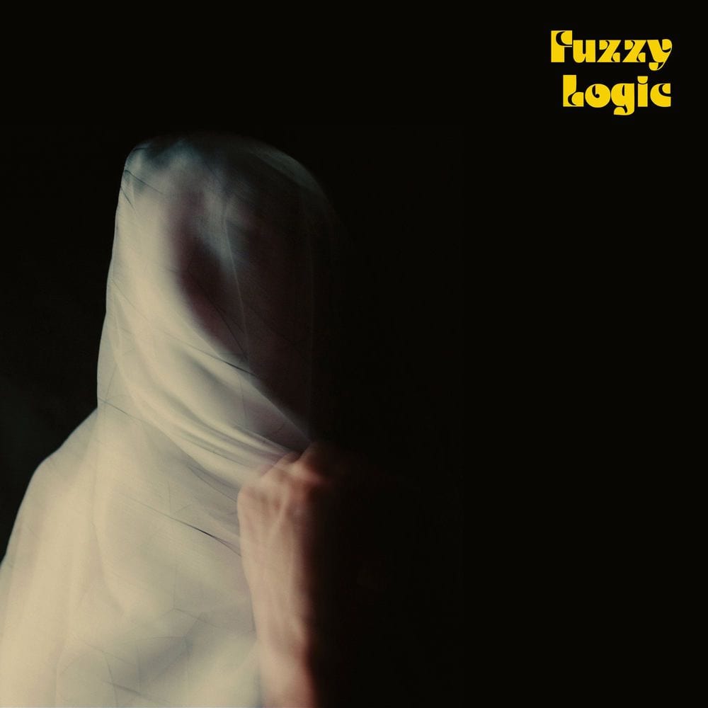 Fuzzy Logic cover