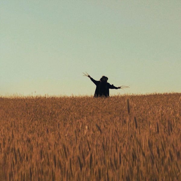 "The Moon & the Scarecrow" cover