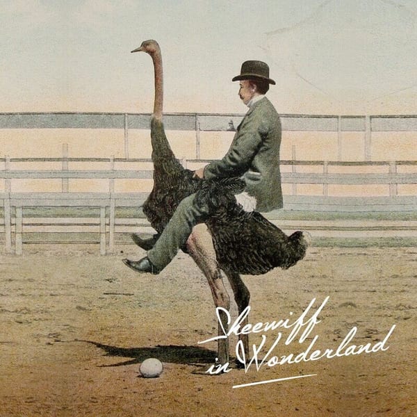 Skeewiff In Wonderland cover
