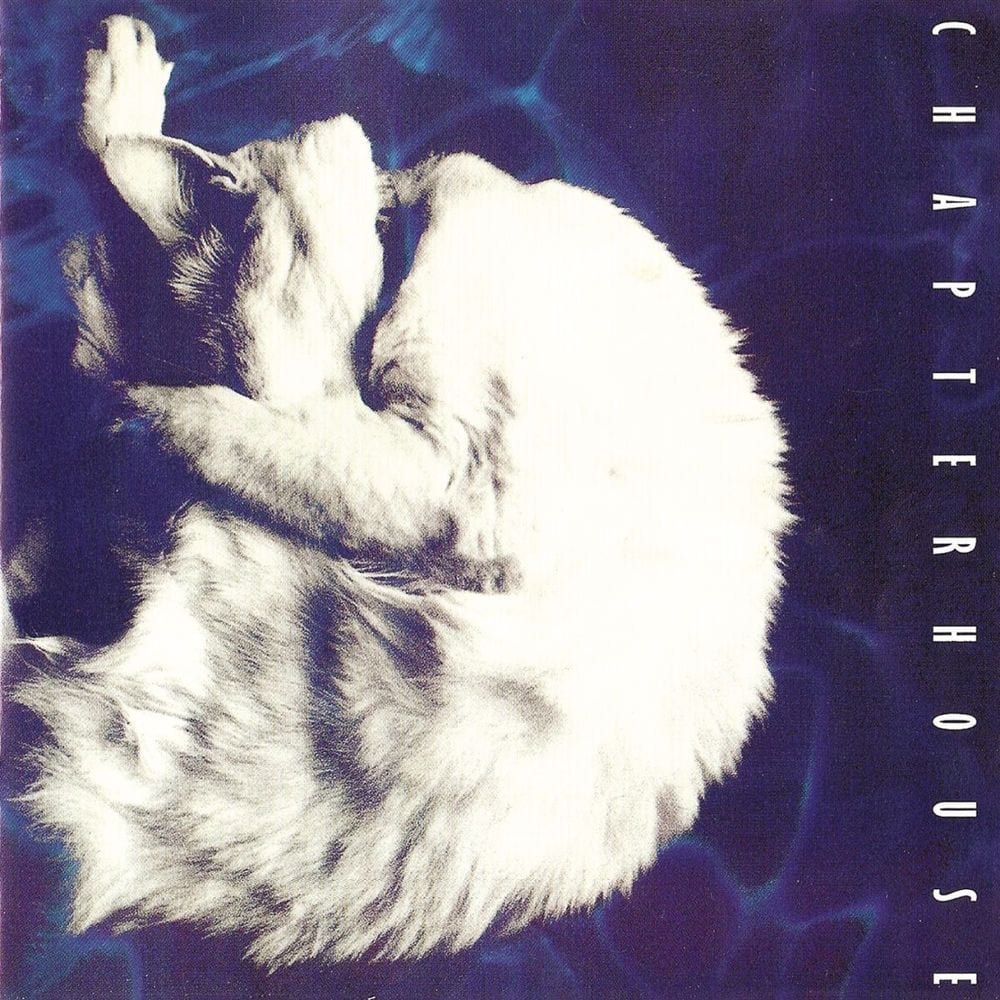 Whirlpool cover