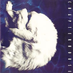 Whirlpool cover art