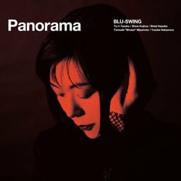 Panorama album cover