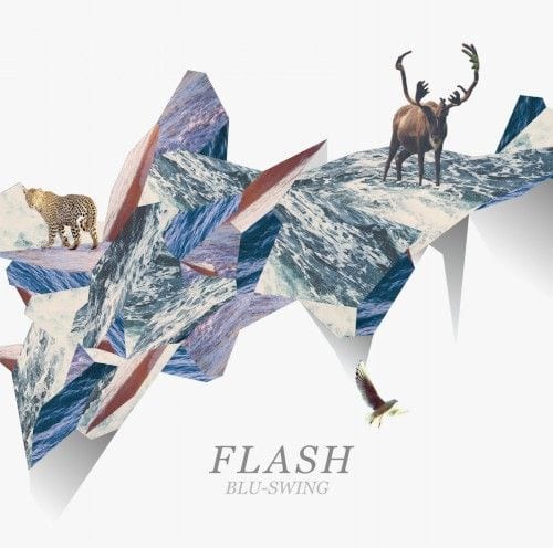 FLASH album cover