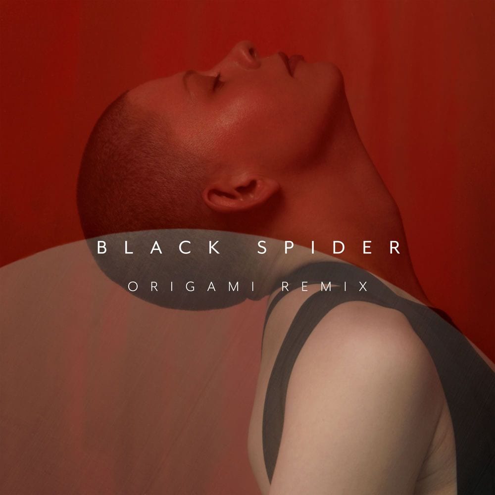 Black Spider (Origami Remix) cover