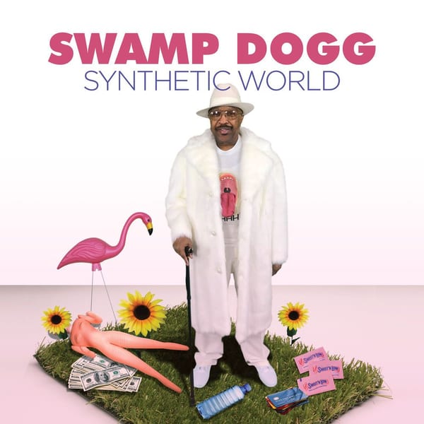 Synthetic World (Remixes) cover