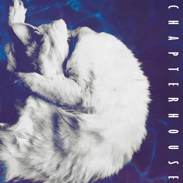Whirlpool, Before and After album cover
