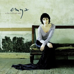 A Day Without Rain cover art