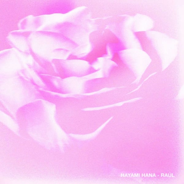 Hayami Hana cover