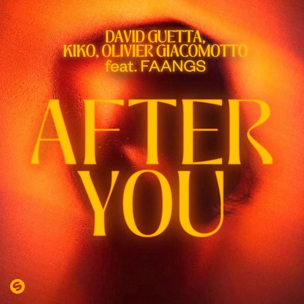 After You (feat. FAANGS) cover