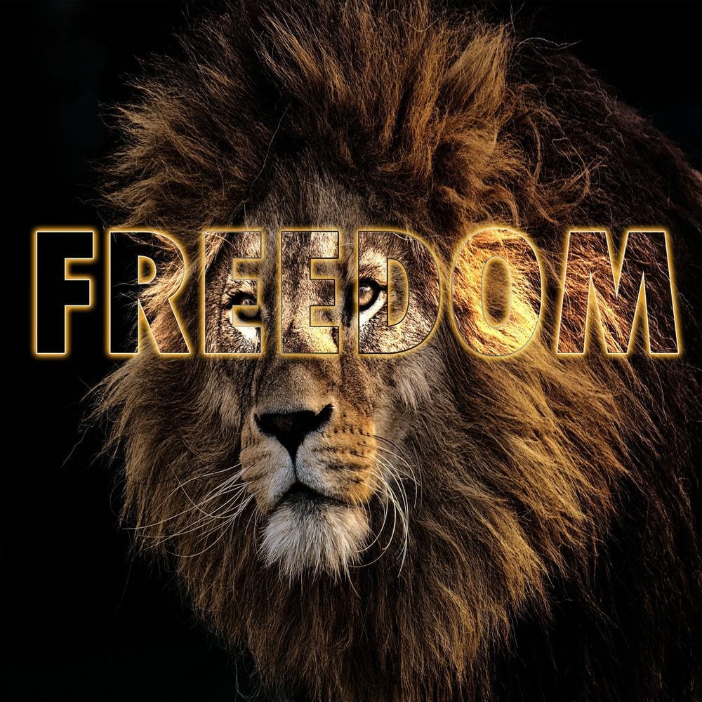 Freedom cover