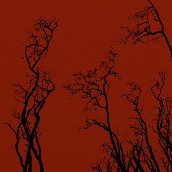 Solace cover