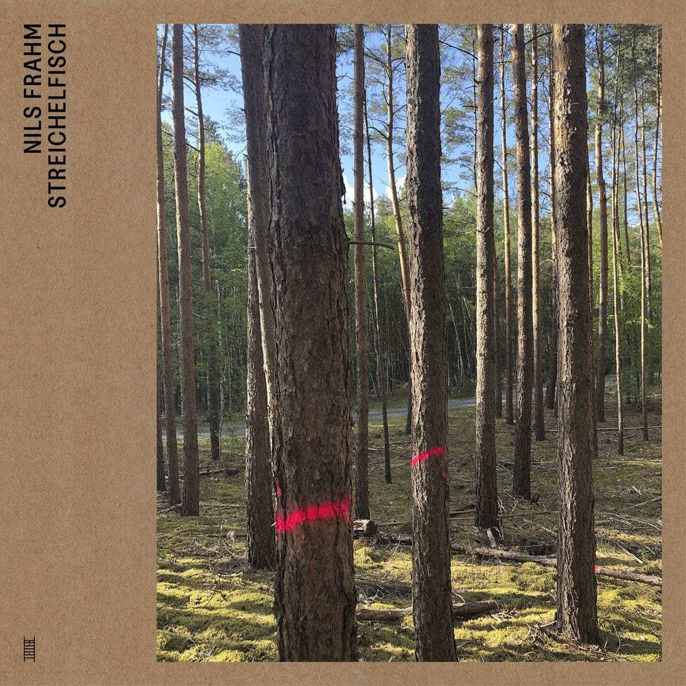 Streichelfisch cover