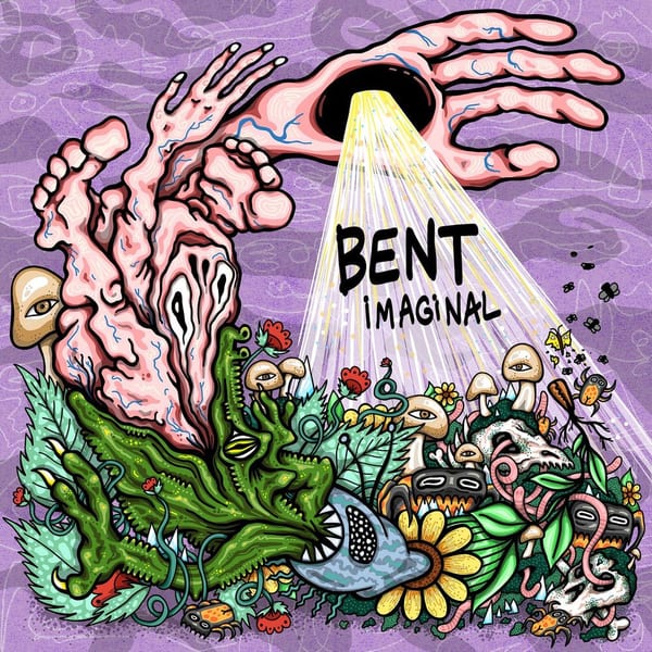 Imaginal cover