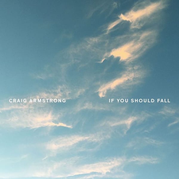 If You Should Fall cover