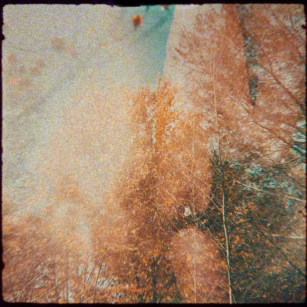 By Firelight, On Autumn Nights cover
