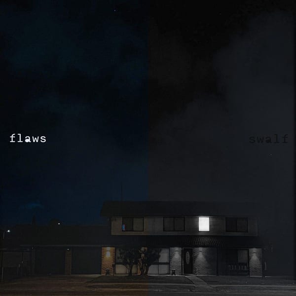 flaws cover