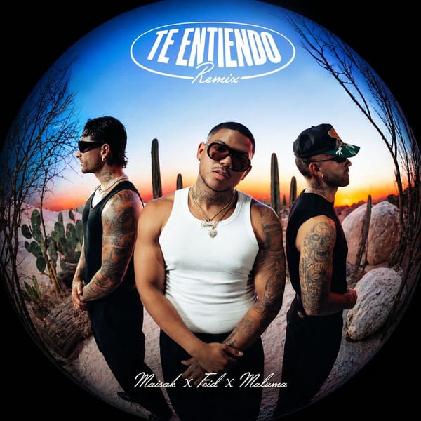 Te Entiendo (Remix) cover