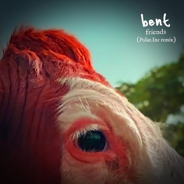 Friends (Polar Inc. Remix) cover