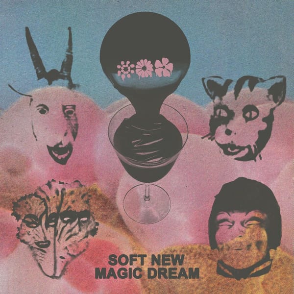 Soft New Magic Dream cover