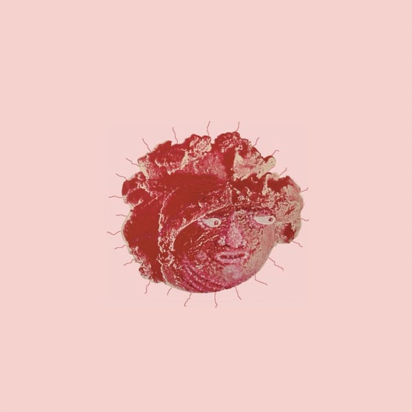 Lost, Picking Flowers in the Woods cover