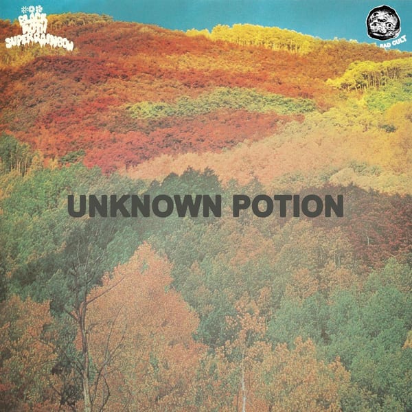 Unknown Potion cover