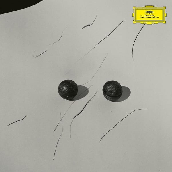 Rose In Abstract (Portico Quartet Remix) cover