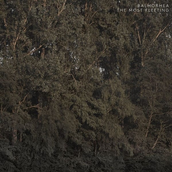 The Most Fleeting cover