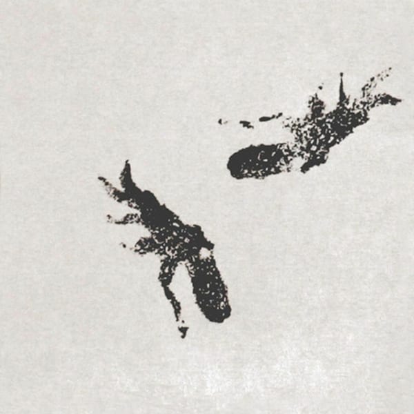 Views / Octopus EP cover