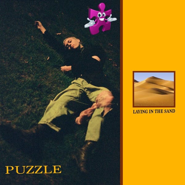 Laying in the Sand cover