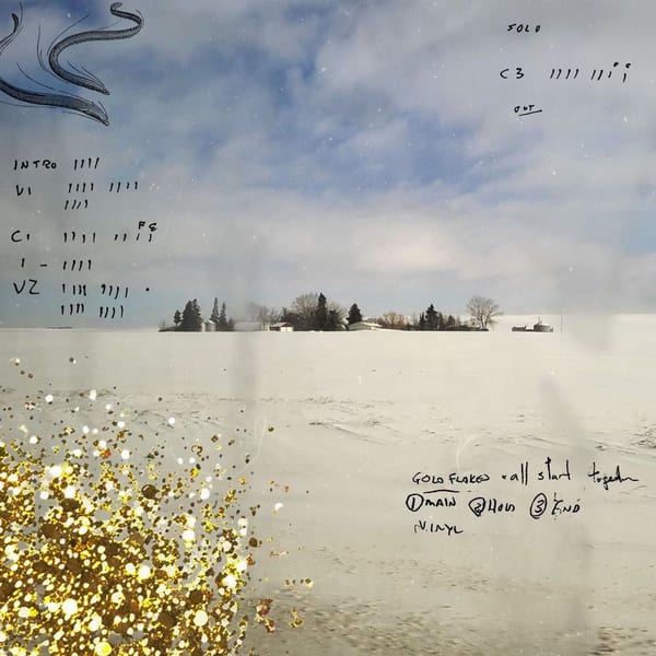 Gold Flakes cover