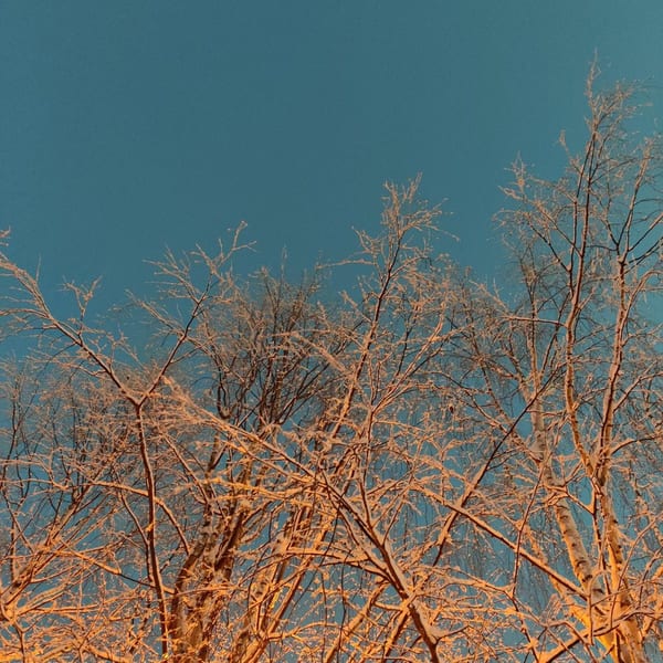 air. cover