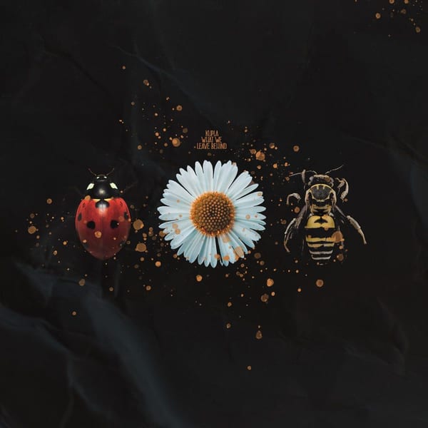 What We Leave Behind cover