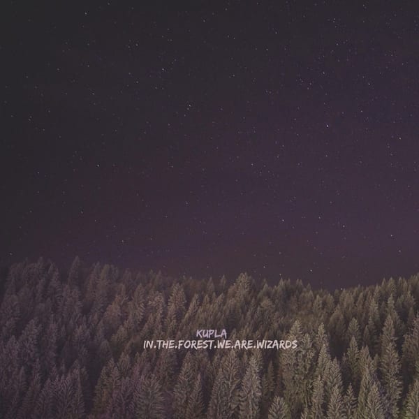 in.the.forest.we.are.wizards cover