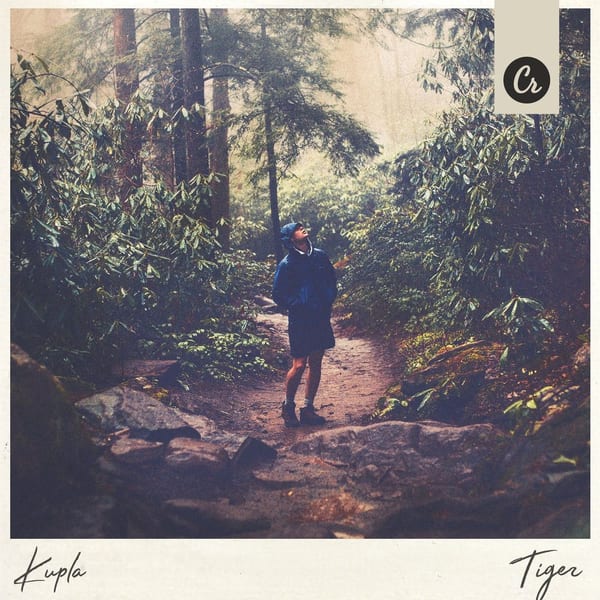 Tiger cover