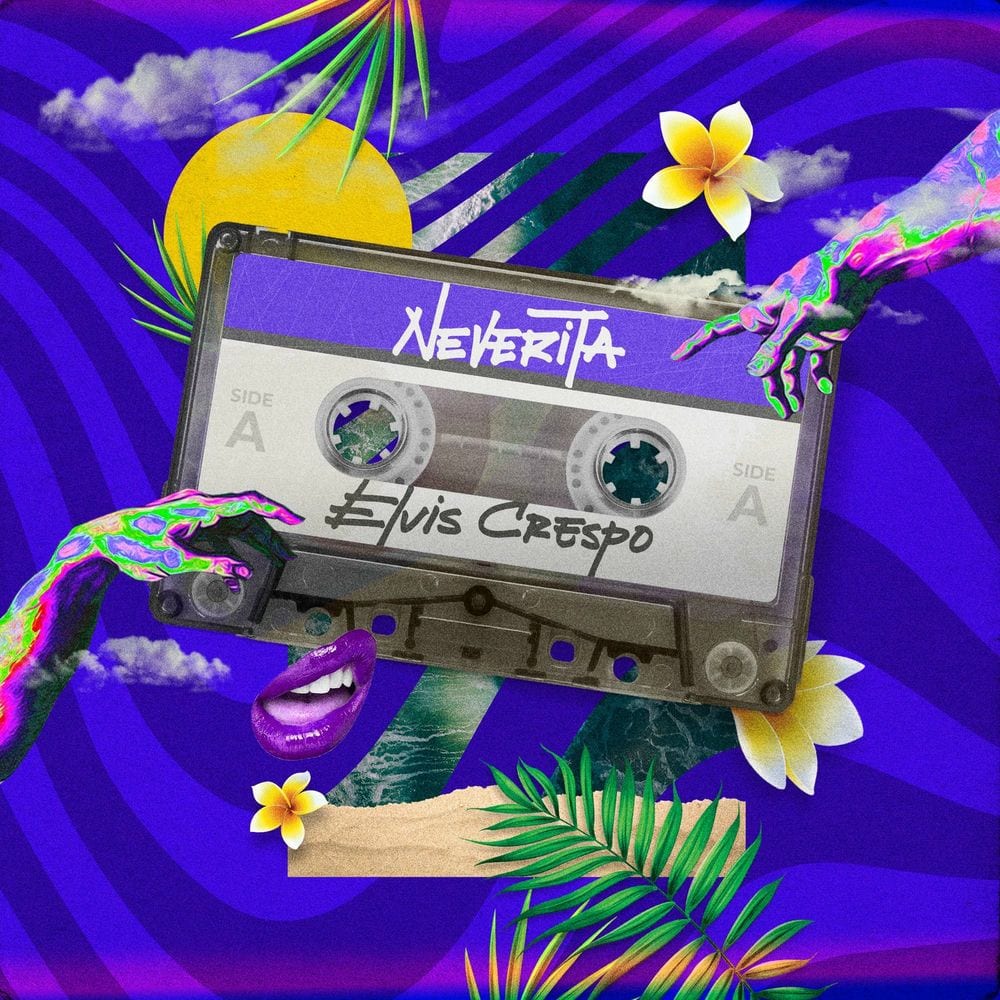 Neverita cover