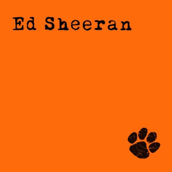 Ed Sheeran cover