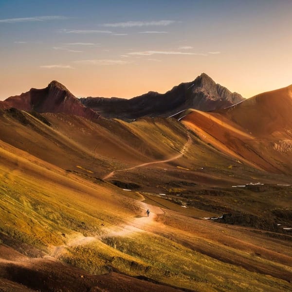 Fordmont Cove cover