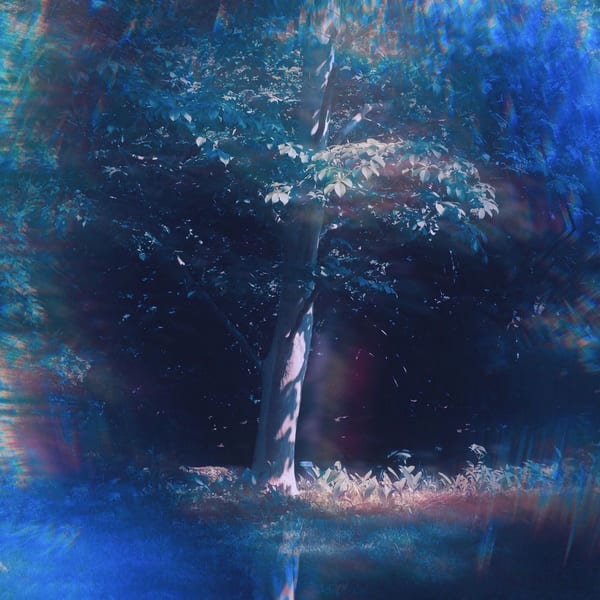 Indigo cover