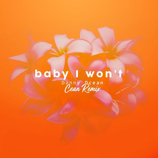Baby I Won't (Cean Remix) cover