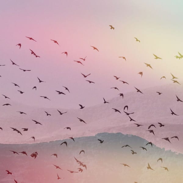 Moving Wings cover