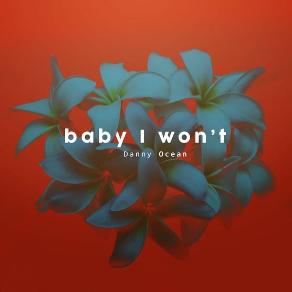 Baby I Won't cover