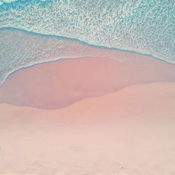 The Midsummer Sea cover