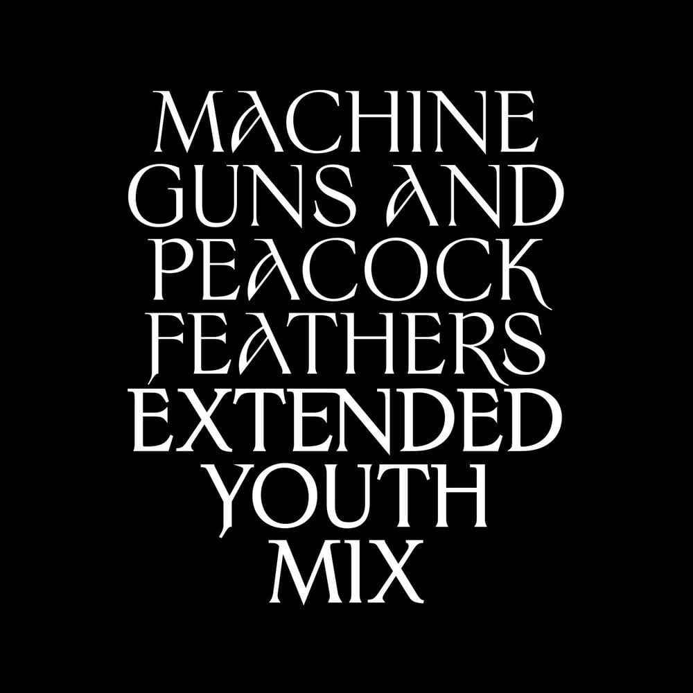 Machine Guns and Peacock Feathers (Extended Youth Mix) cover