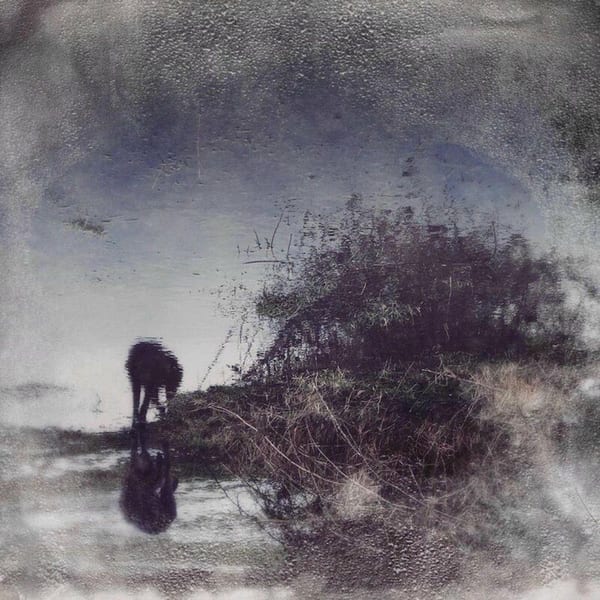 Flux & Contemplation - Portrait of an Artist in Isolation cover