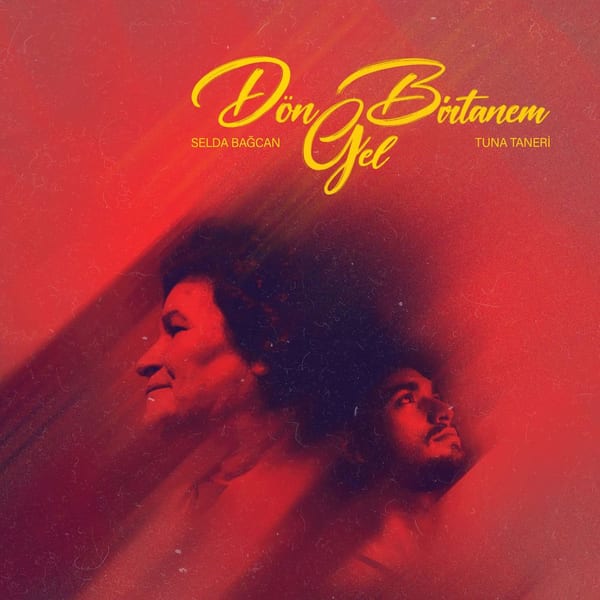 Dön Gel Birtanem (Remix) cover